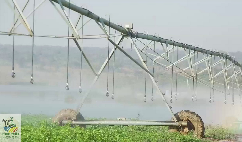 PIVOTS