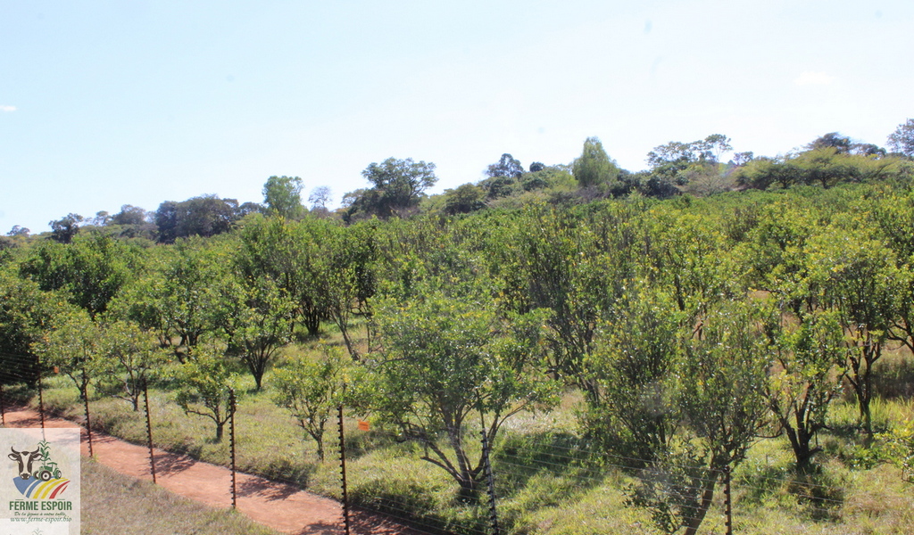 SITE_13